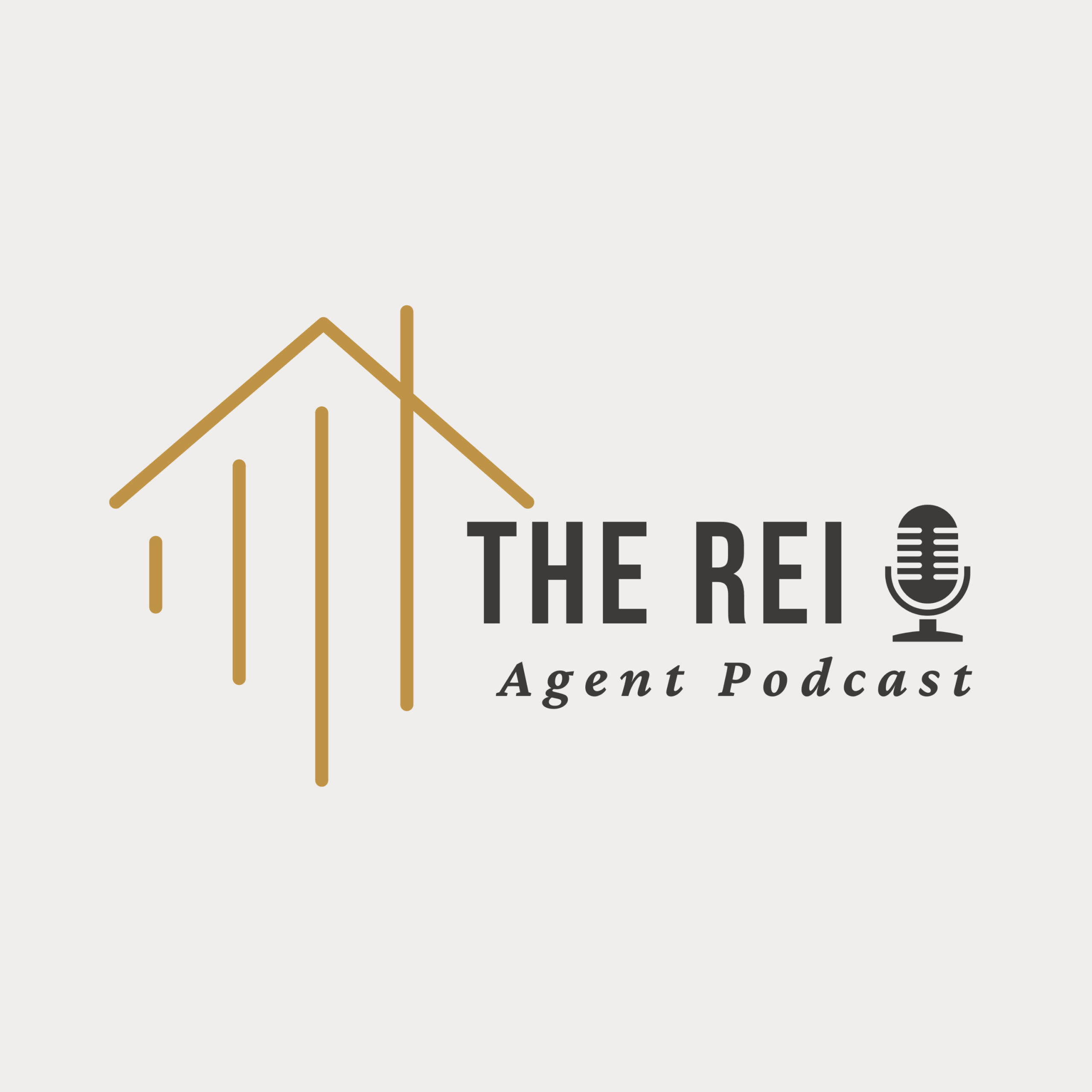 The REI Agent cover art